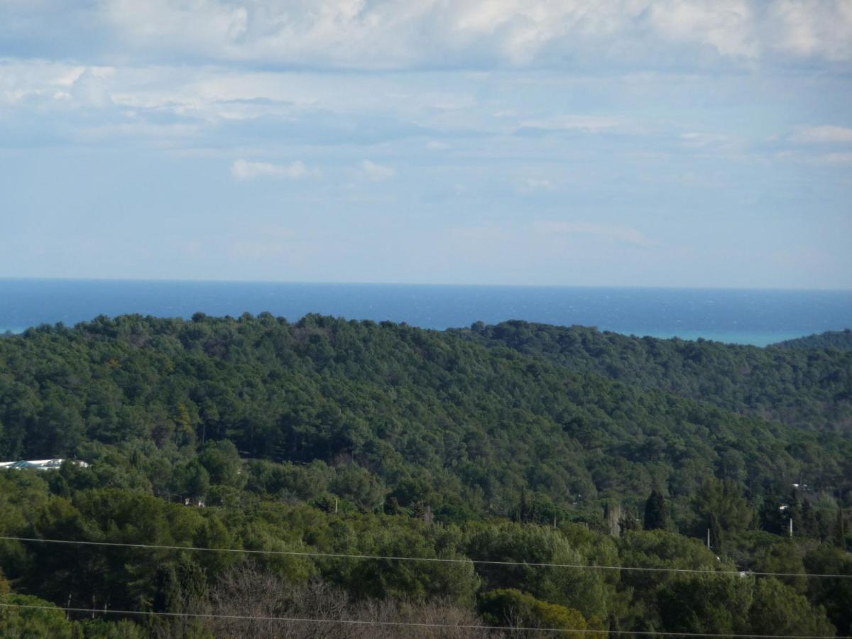 Havre De Paix: 5-Star Prestige Retreat with Spa & Heated Pool Mougins Exterior photo